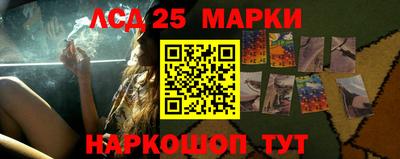 крисы Малгобек