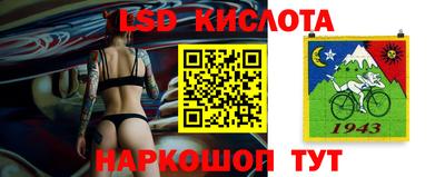 крисы Малгобек