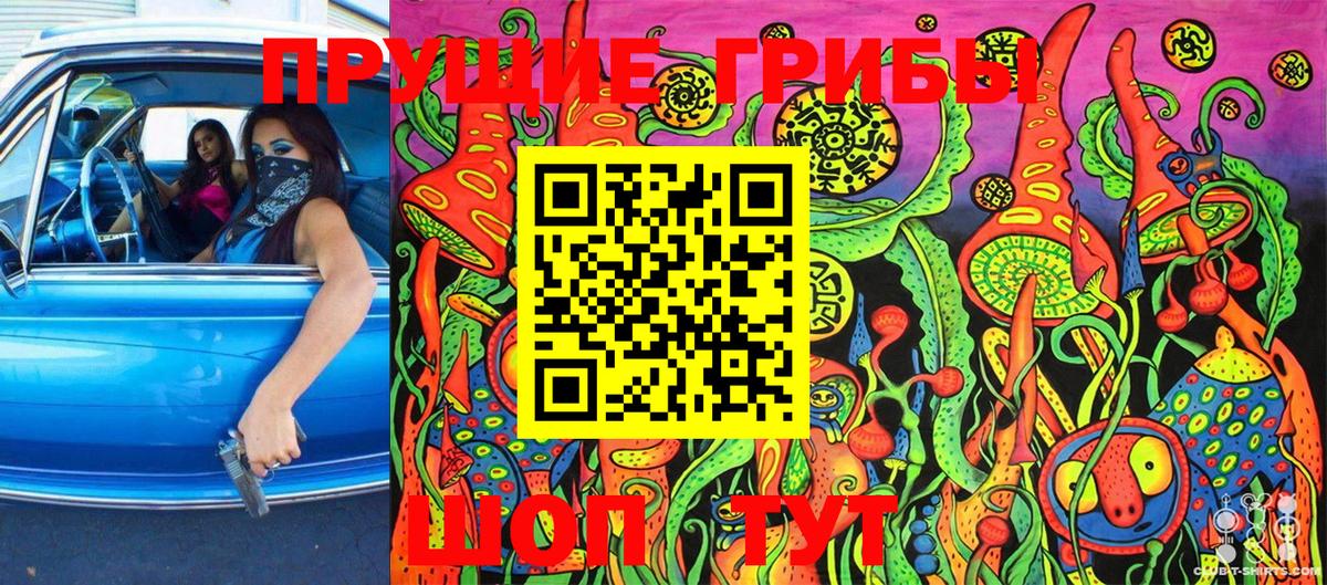 Галлюциногенные грибы MAGIC MUSHROOMS Гурьевск